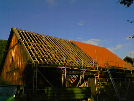 dachdeckungen_0008.jpg